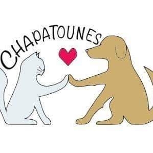 Logo Chapatounes